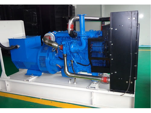 Emergency Diesel Generator Set